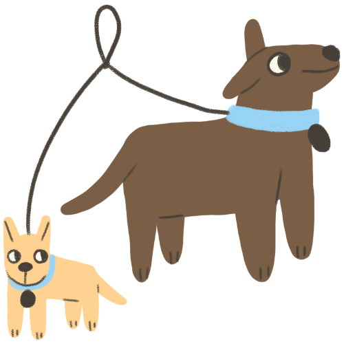 Pet Leashes